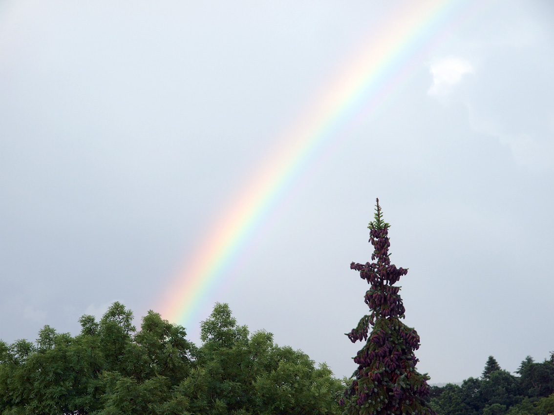 Regenbogen - subjektive Wahrnehmung eines objektiven Geschehens | Bild: Heinz Knotek/TrinosophieBlog