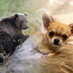 Zeit läuft gegen Russland und den gesunden Menschenverstand