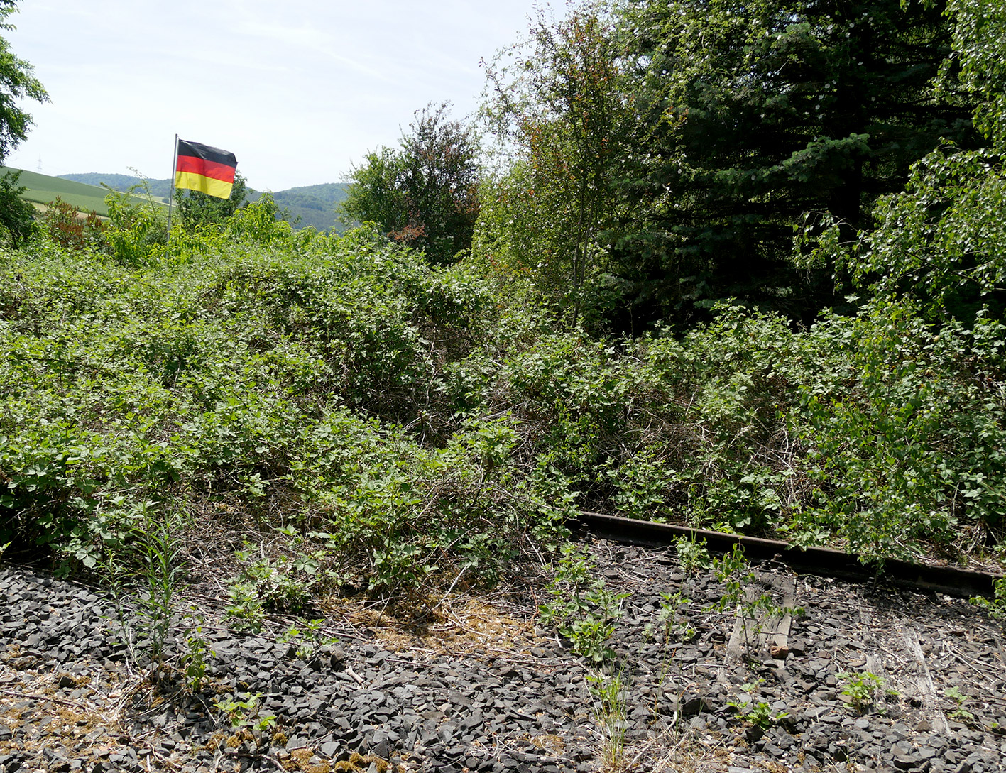 Deutschland zur Landtagswahl Sachsen-Anhalt: Tapfer zur Fahne halten